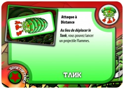 Un insecte