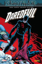 Shadowland - Point d'ombres pour les éditions 100% Marvel et Monster